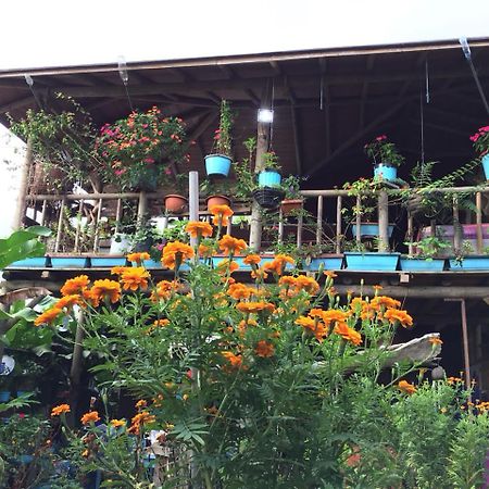 Wood House Hostel La Fortuna المظهر الخارجي الصورة