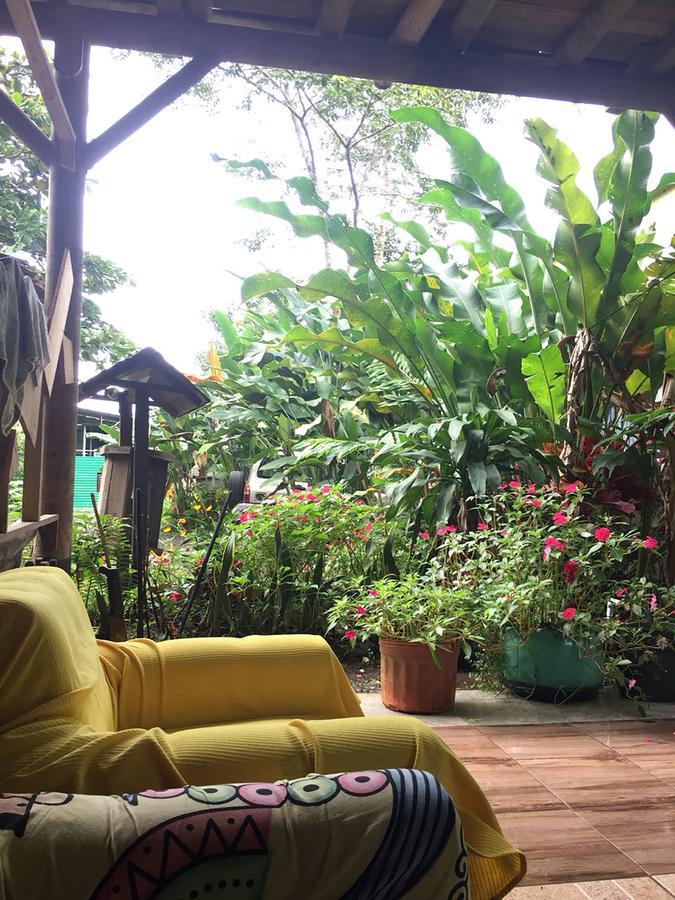 Wood House Hostel La Fortuna المظهر الخارجي الصورة