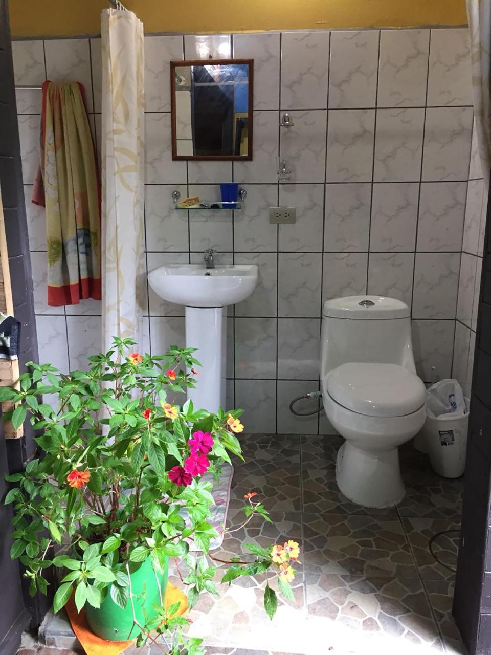 Wood House Hostel La Fortuna المظهر الخارجي الصورة