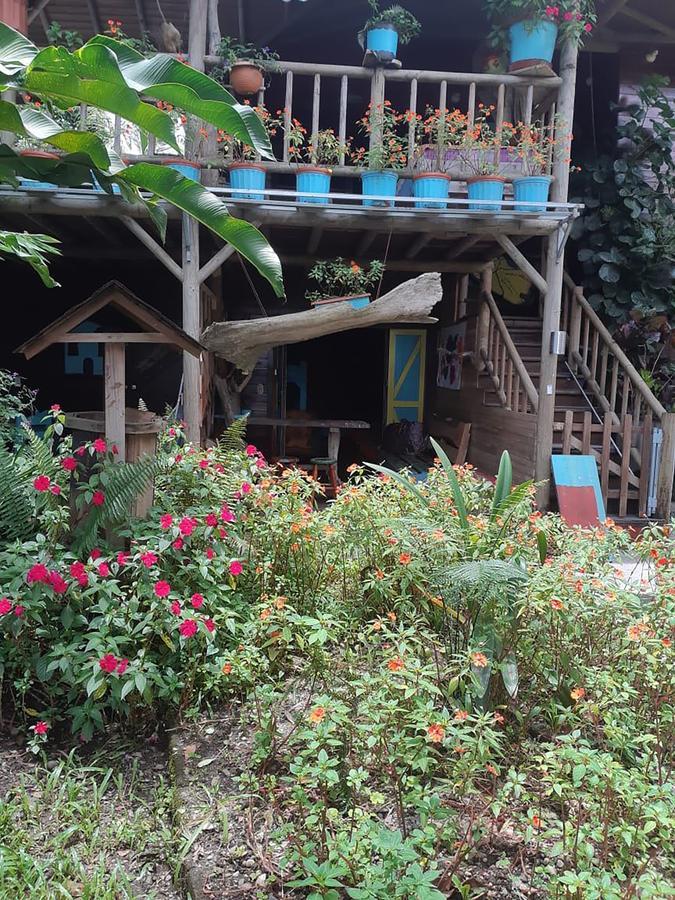 Wood House Hostel La Fortuna المظهر الخارجي الصورة